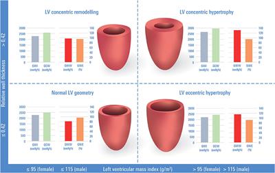 Frontiers | Left Ventricular Remodeling And Myocardial Work: Results ...